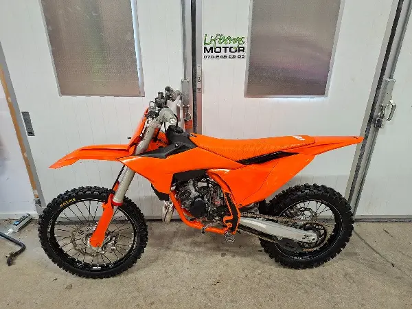 Bild